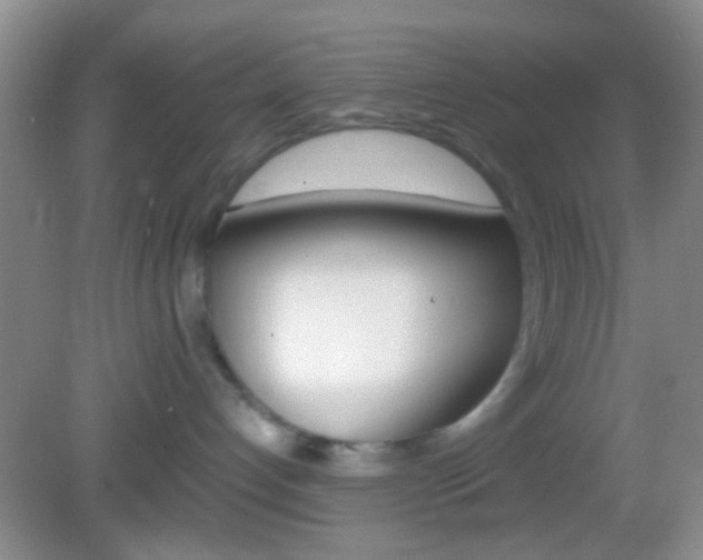 X0000082970192200702011152