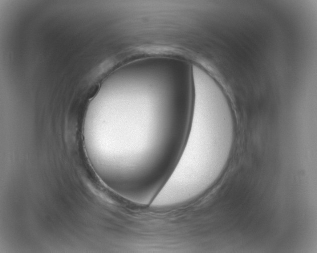 X0000082970201200702011151