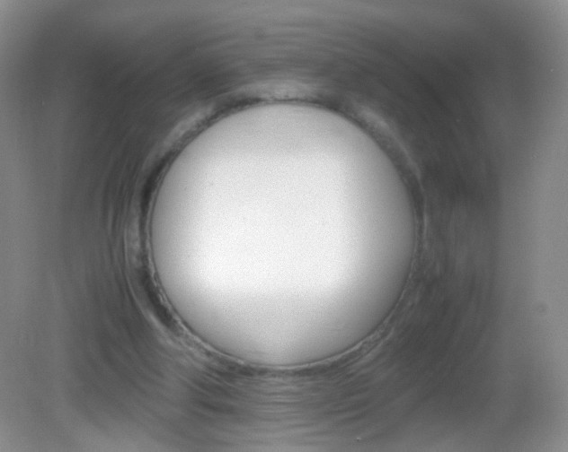 X0000082970202200702011151