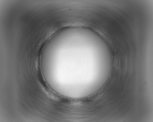 X0000082970206200702011151