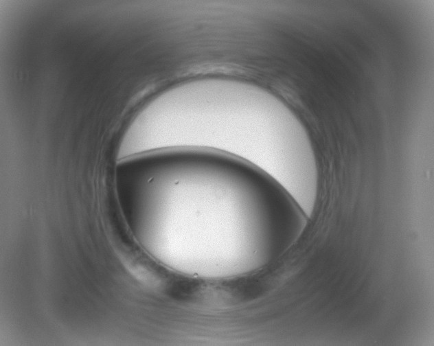 X0000082970207200702011151