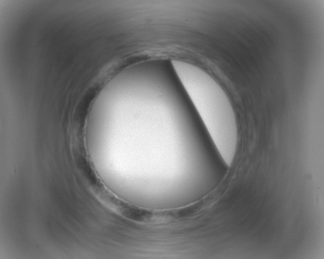 X0000082970209200702011151