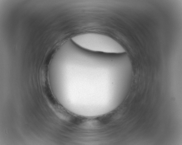 X0000082970210200702011151