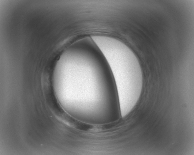 X0000082970211200702011151