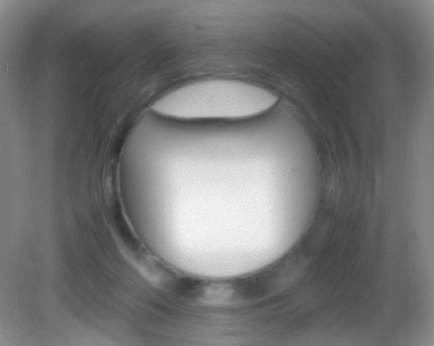 X0000082970214200702011151