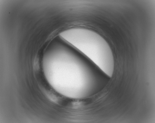 X0000082970216200702011151