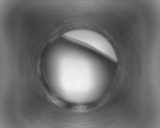 X0000082970217200702011151