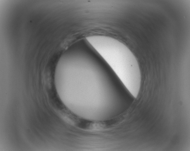 X0000082970223200702011151