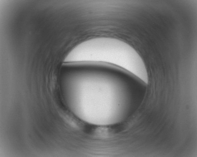 X0000082970227200702011150