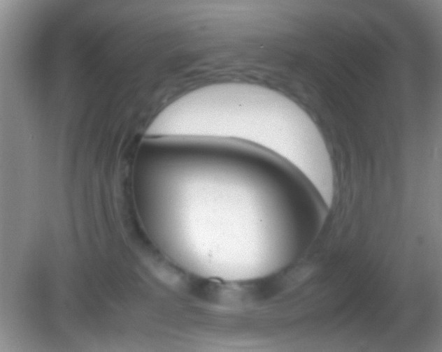 X0000082970229200702011150