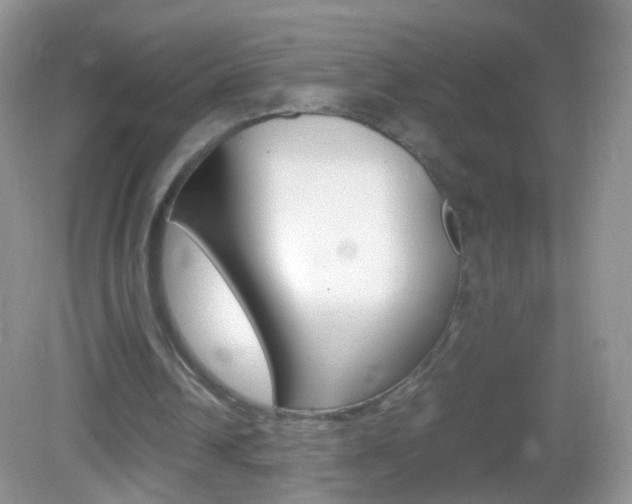 X0000082970242200702011149