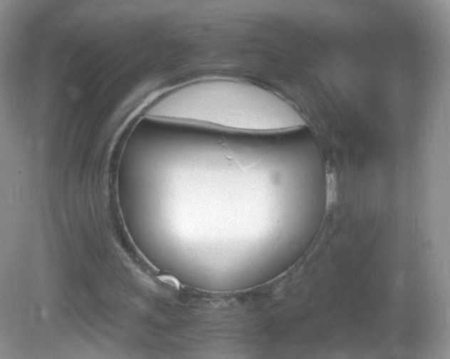 X0000082970243200702011149