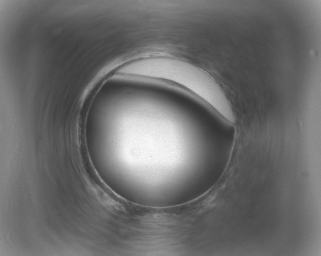 X0000082970244200702011149