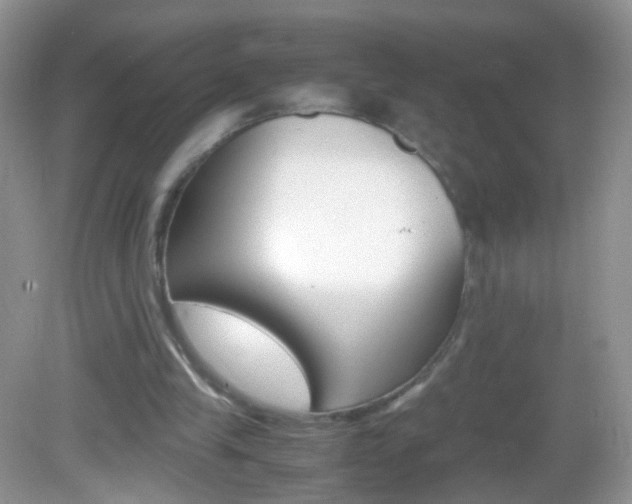 X0000082970245200702011150