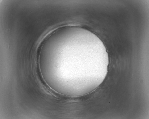 X0000082970247200702011150