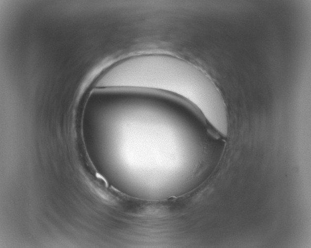X0000082970248200702011150