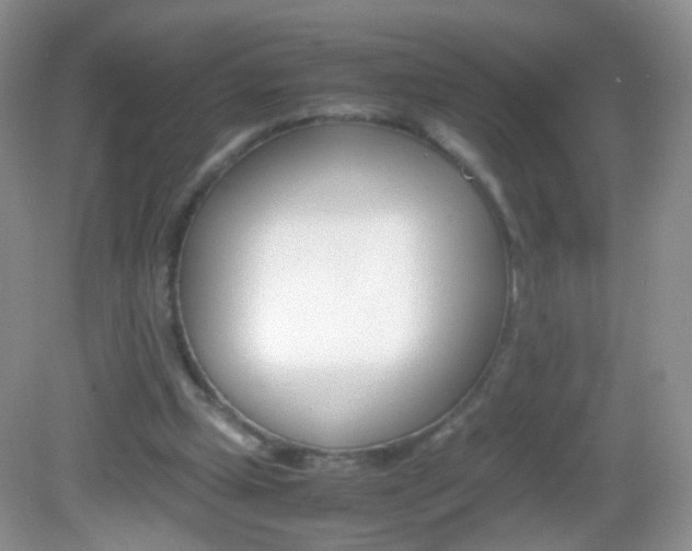 X0000082970249200702011150