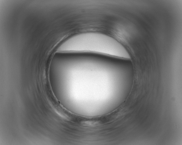 X0000082970251200702011150