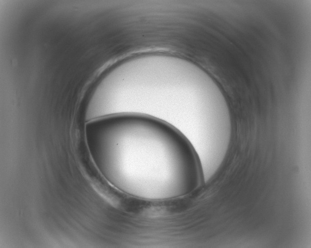 X0000082970252200702011150