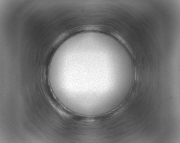 X0000082970253200702011150