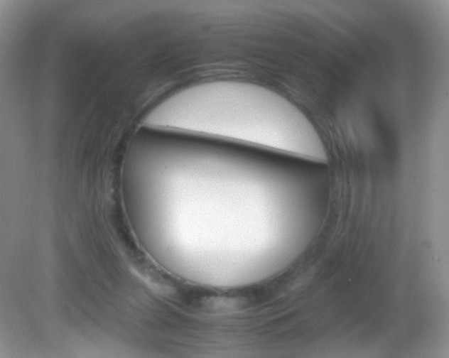 X0000082970255200702011150