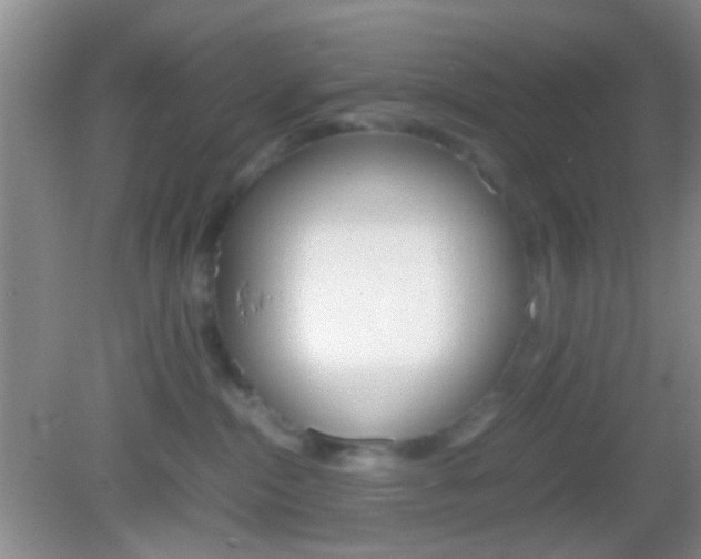 X0000082970284200702011150