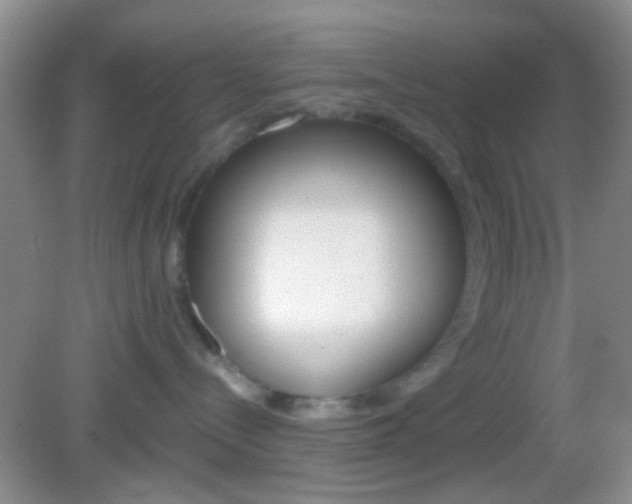 X0000082970288200702011150