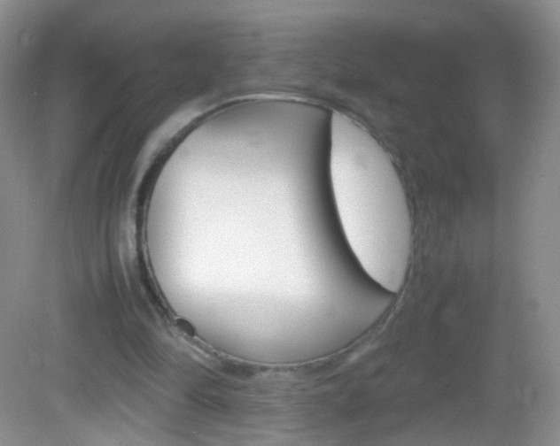 X0000082970294200702011149