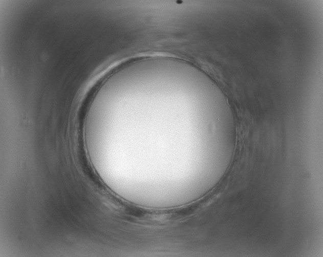 X0000082970295200702011149