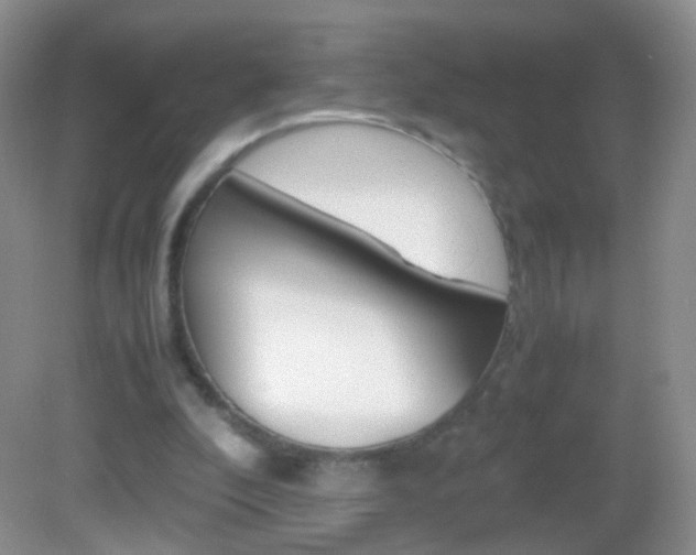 X0000082970296200702011149