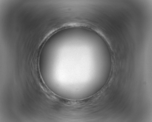 X0000082970297200702011149