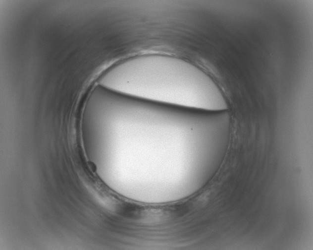 X0000082970298200702011149