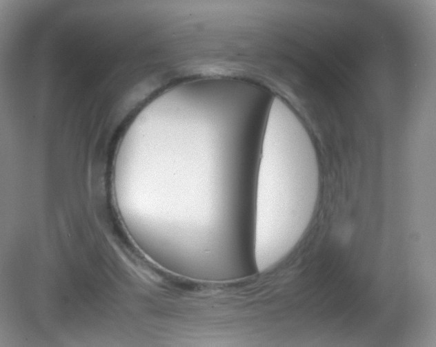 X0000082970299200702011149