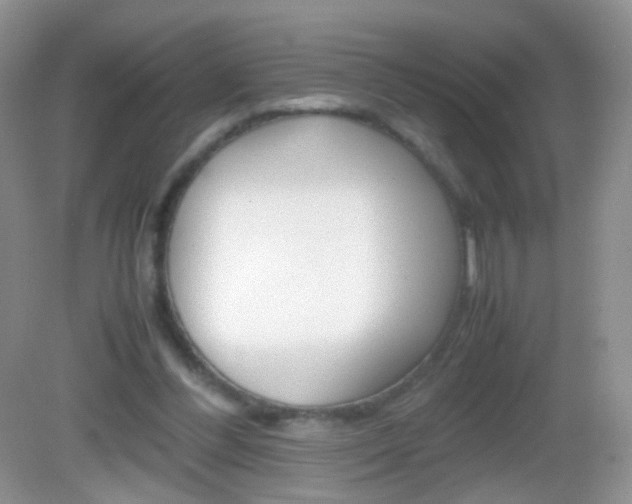 X0000082970300200702011149