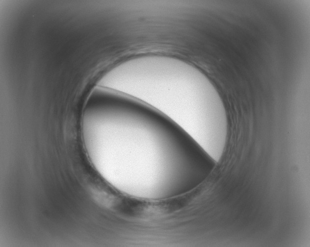 X0000082970303200702011149