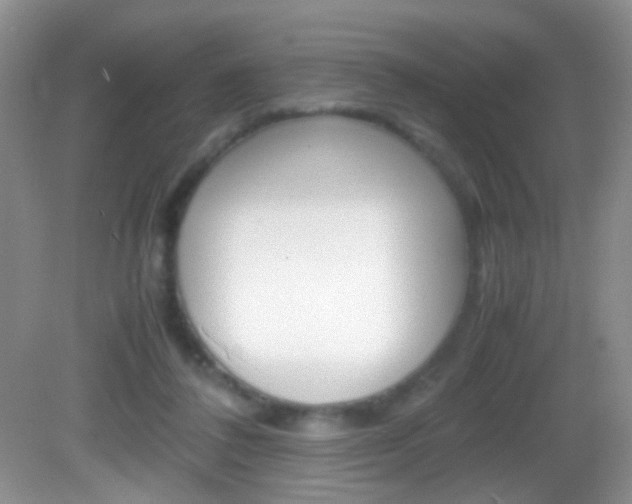 X0000082970308200702011149