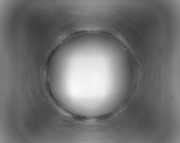 X0000082970309200702011149