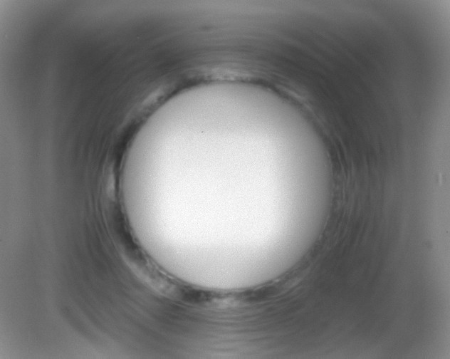 X0000082970310200702011149