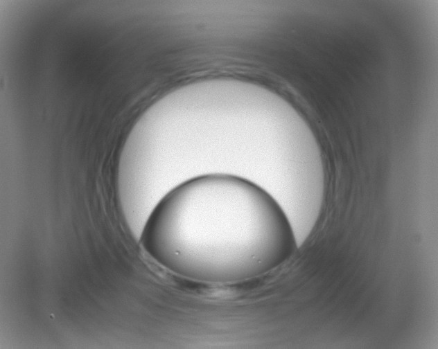 X0000082970313200702011149