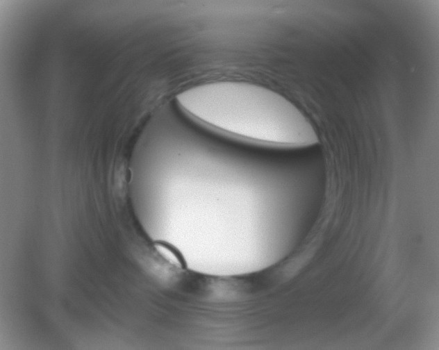 X0000082970336200702011149