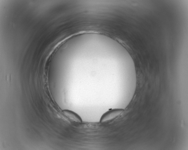 X0000082970338200702011148