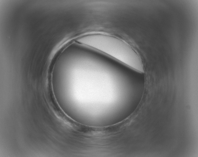 X0000082970344200702011148