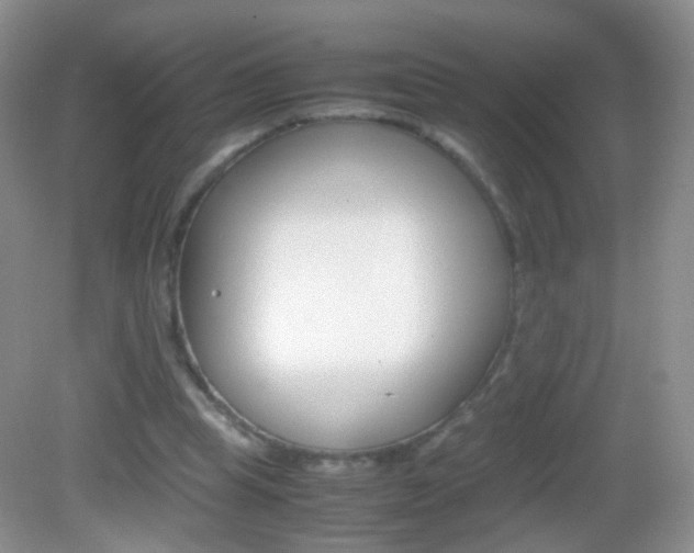 X0000082970345200702011148