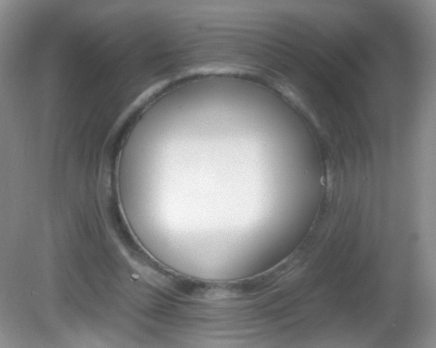 X0000082970348200702011148