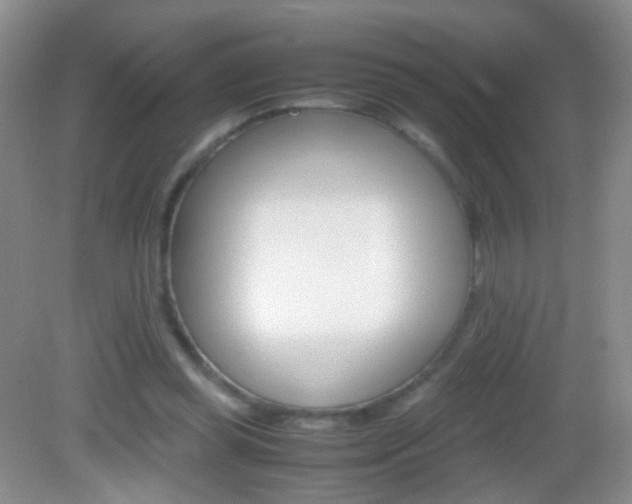 X0000082970349200702011148