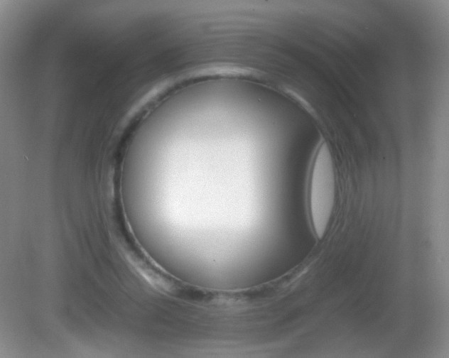 X0000082970350200702011148