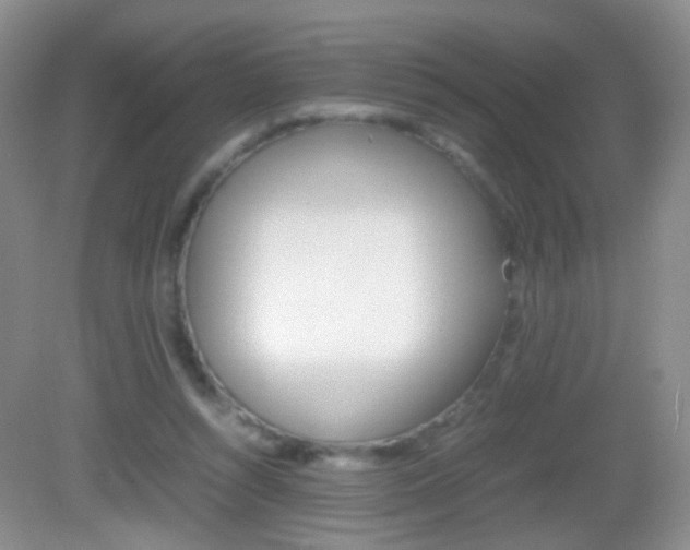 X0000082970352200702011148