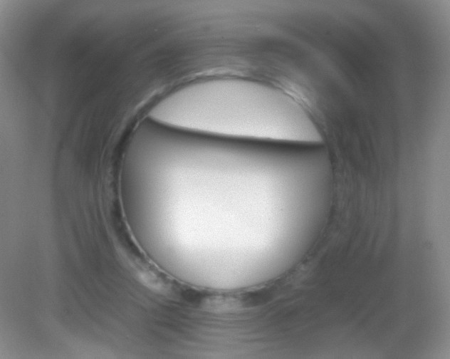 X0000082970354200702011148