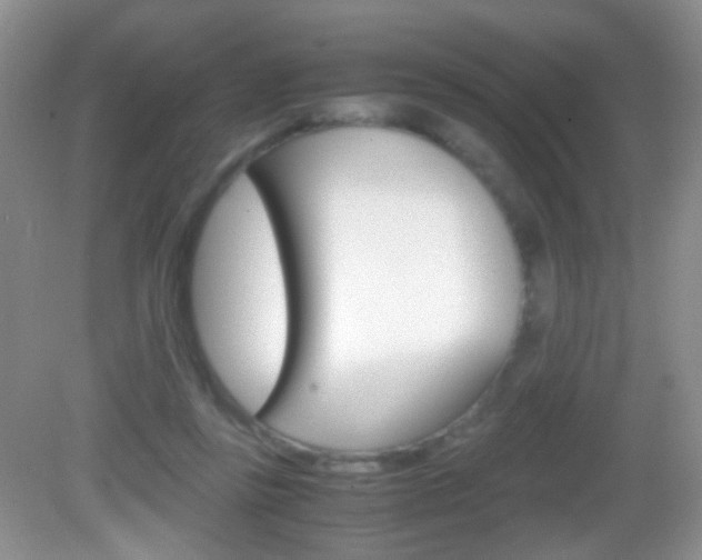 X0000082970355200702011148
