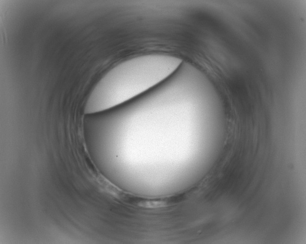 X0000082970361200702011148